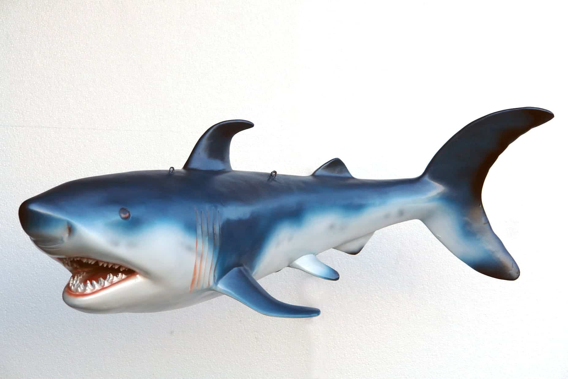 פסל של כריש