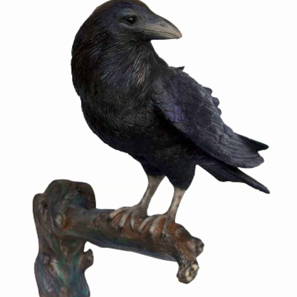 עורב על גזע עץ