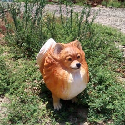 פסל של כלב פומרניין