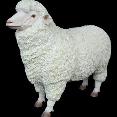 פסל של כבשה מרינו
