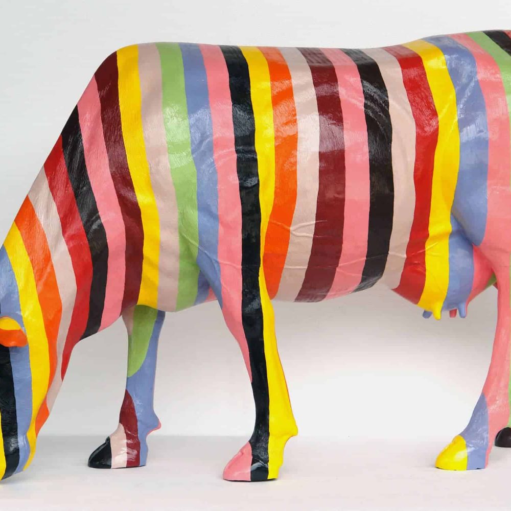 פרה קשת בענן