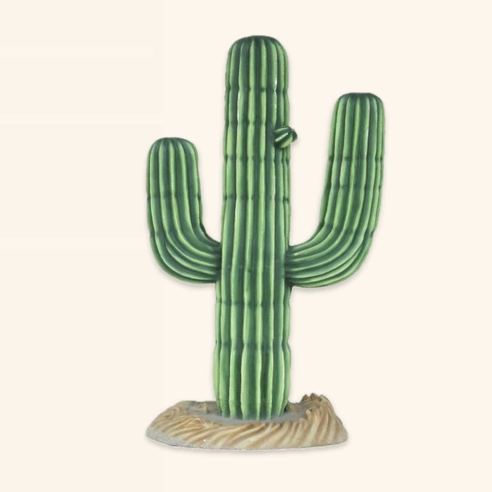 פסל של קקטוס ענק