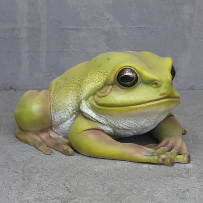 פסל של צפרדע עצים