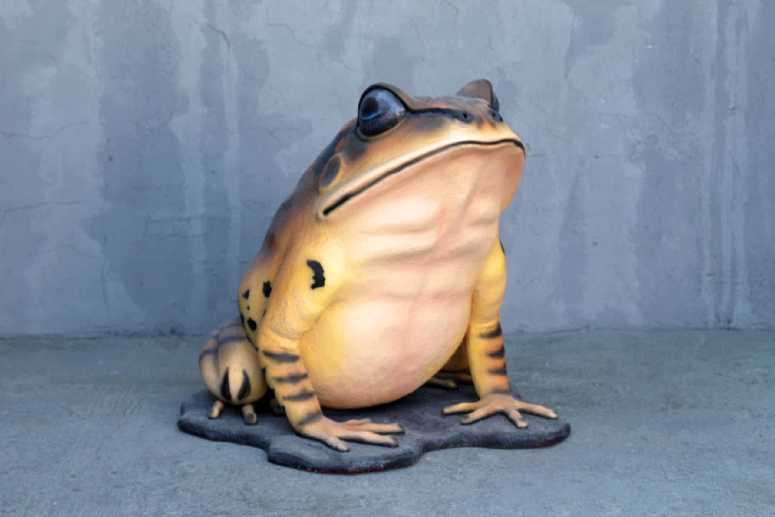 פסל צפרדע ענקית