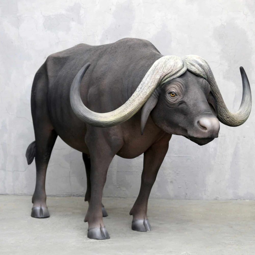 פסל באפלו אפריקאי