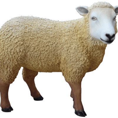 פסל של כבשה חדשה