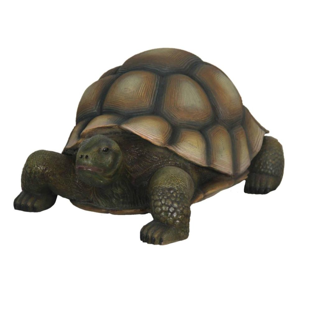 פסל של צב יבשה