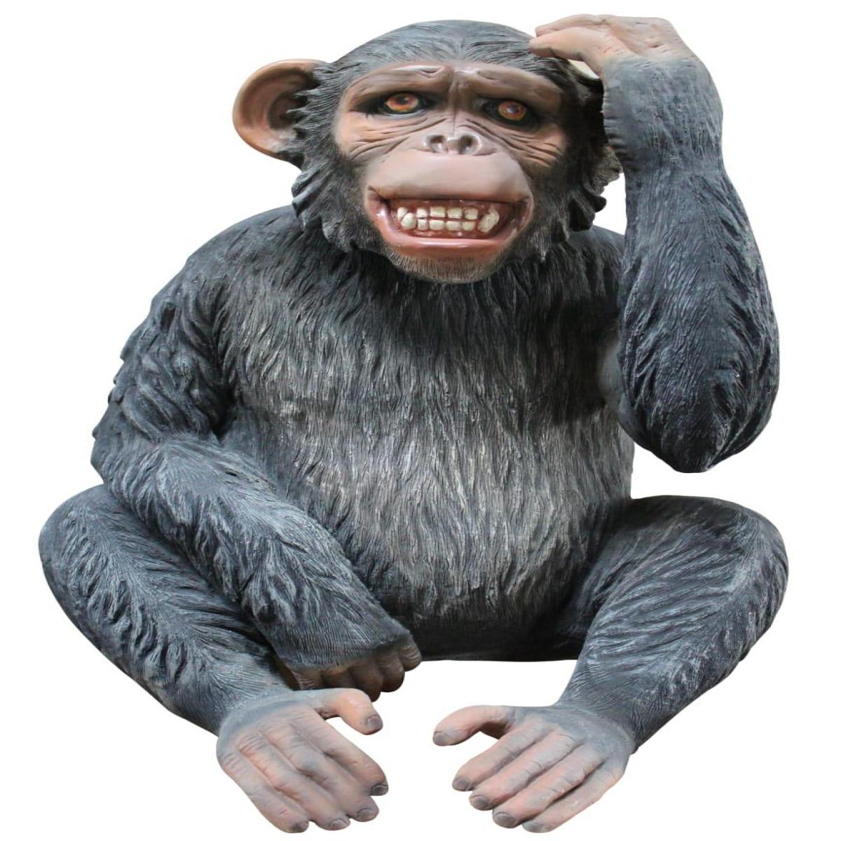 Shintai main image 1